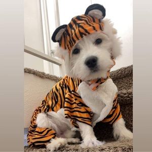 Tiger Dog and Cat Costume - Hyde & EEK! Boutique™